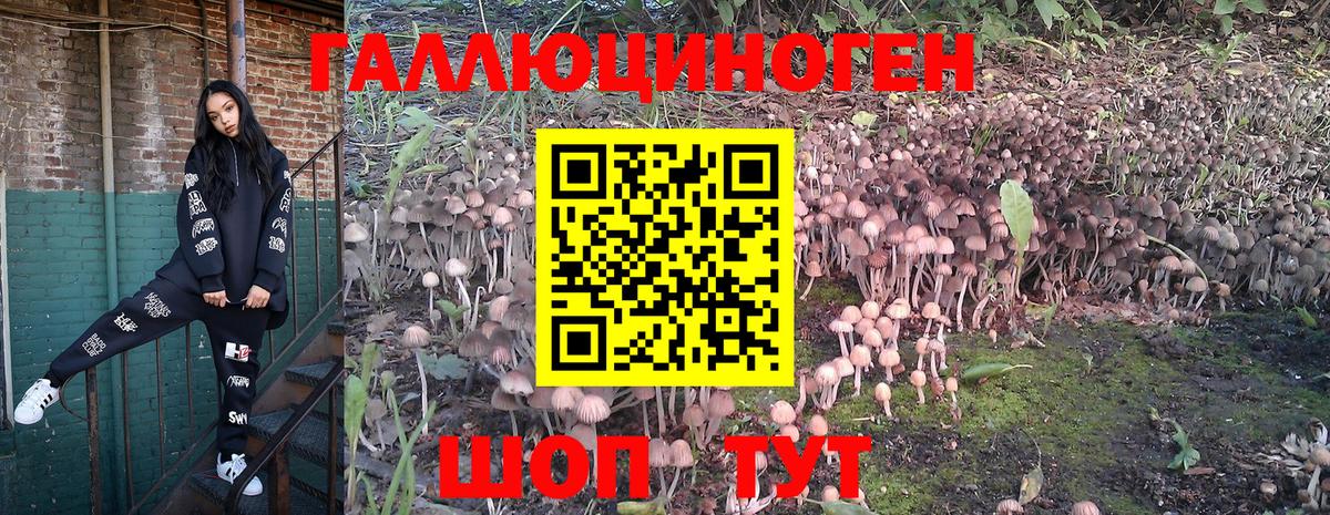 Галлюциногенные грибы мицелий  Вход с VPN  дарнет шоп  Гурьевск 